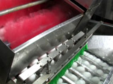 チルド液卵工場 洗卵機